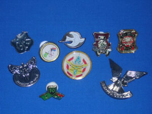 badges pretoria