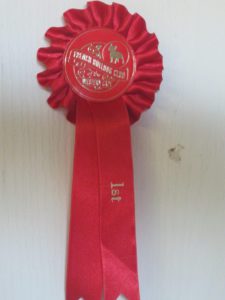 custom rosette pretoria
