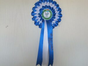 printed rosettes pretoria