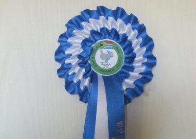 printed rosettes pretoria east