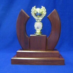 trophies pretoria east