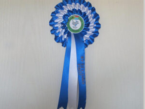 custom printed ribbon gauteng companies
