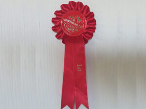 custom printed ribbons