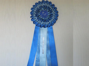 custom printed ribbons gauteng