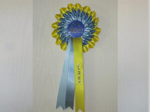 printed ribbon gauteng company