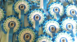 printed ribbons gauteng