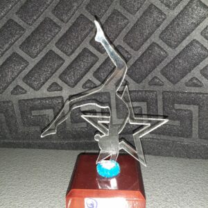 Perspex Trophy