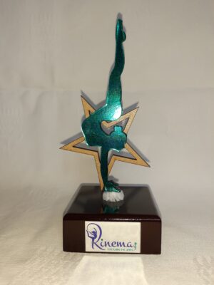 Perspex Trophies