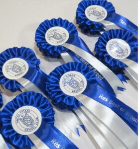 Rosettes and ribbons