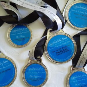 Insert Medal 1