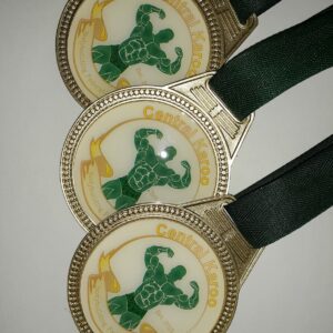 Insert Medal 3