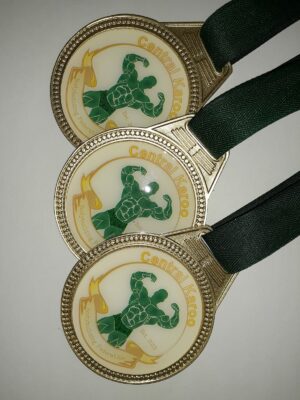 Insert Medal 3