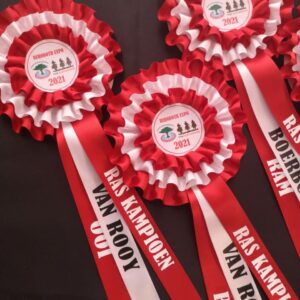 Rosette 2