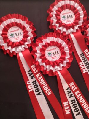 Rosette 2
