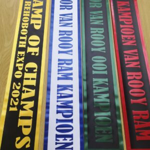 Ribbons 1