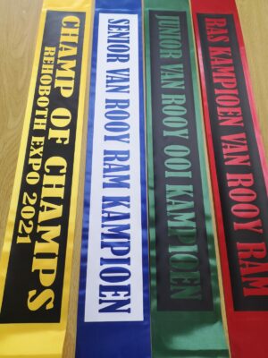 Ribbons 1