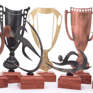trophy manufacturers pretoria